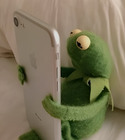 Kermit the Frog looking worriedly at a phone